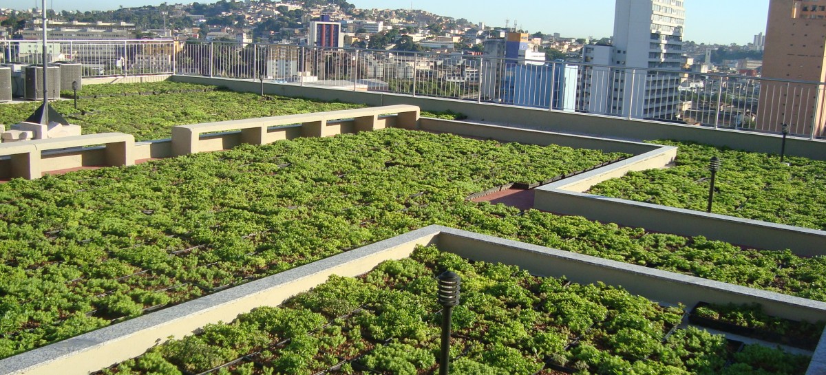 Telhado verde como fazer