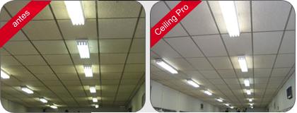 celling-pro-3