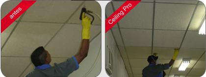 celling-pro-2